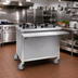 Thumbnail image #2 for Director's Choice DCS-PUD-4TH Mobile Heated Dish Dispenser with 4 Tubes