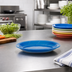Thumbnail image #3 for Bay Pointe 7-Inch x 5-5/8-Inch Oval Narrow Rim Vitrified Ceramic Platter, Assorted Colors