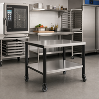 Alto-Shaam CTX Stainless Steel Equipment Stand with Casters and Lower Shelf