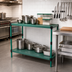 Thumbnail image #2 for QuadPlus Solid Polymer Shelf Mat with Quad-Adjust Frame, 54 x 18 Inches, Green