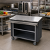 Thumbnail image #2 for Randell Custom & Serving RANFG ST-5 Mobile Modular Fiberglass Utility Serving Station with Enclosed Base and Stainless Steel Top