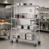Thumbnail image #2 for EAGLEbrite 4-Tier 48 x 24 Inch Wire Dolly Truck with Zinc Finish and 5-Inch Poly Swivel Casters