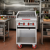 Thumbnail image #3 for American Range ADJF-24 24-Inch Gas Adjustable Underfired Charbroiler with Cabinet Base