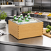 Thumbnail image #3 for Cal-Mil Sydney Oak Wood Ice Housing with Polycarbonate Pan & Liner