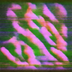 Thumbnail image #2 for Cambro Camshelving Elevation Series Wall-Mounted Solid Shelf Kit, 24 x 48 Inches, Brushed Graphite