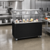 Thumbnail image #2 for Vollrath 2-Series Affordable Portable 46-Inch Mobile Open Storage Utility Station with Buffet Breath Guard Lights