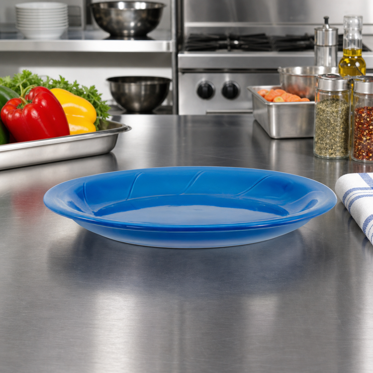 Product image #3 for Bay Pointe Oval Narrow Rim Vitrified Ceramic Platter, 9-5/8 x 8 Inches, Assorted Colors