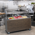 Thumbnail image #2 for Vollrath 2-Series Affordable Portable 3-Pan 46-Inch Non-Refrigerated Cold Food Station with Buffet Breath Guard, Lights, Granite Solid Base