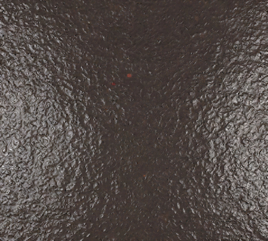 group picture