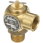 Thumbnail image #1 for AllPoints Foodservice Parts & Supplies 561159 1/2-Inch Safety Valve Replacement Part