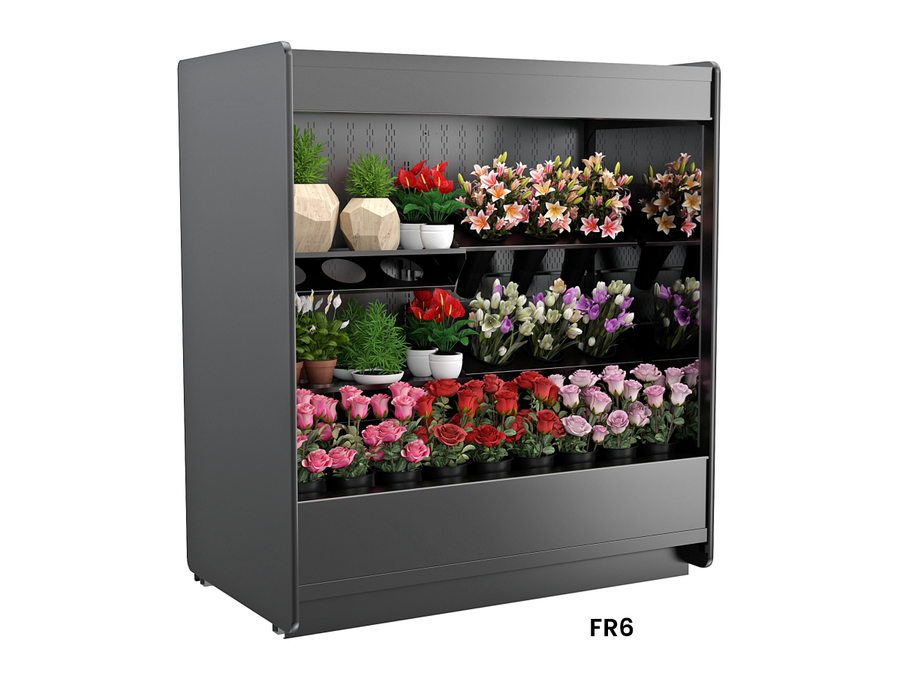 FR6
