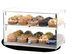 Thumbnail image #5 for Non-Refrigerated Countertop Pastry Display Case, Square Front Glass, 50 Liter, Full/Self-Service