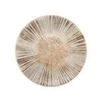 Thumbnail image #1 for Global Tableware Collective Mesa Ceramics FF7096173056 Round Stoneware Coupe Plate, 10-1/2", Fan Chalk
