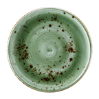 Thumbnail image #1 for Vertex China London Terra LTJ-C16 10-Inch Round Coupe China Plate, Hand Painted, Terra Jade Case of 2 Dozen