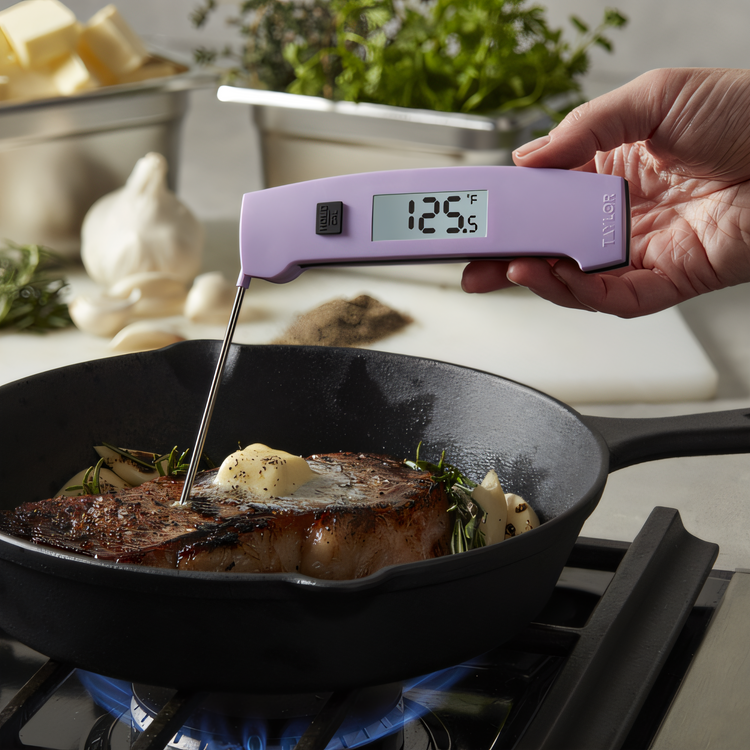 Product image #2 for Taylor Precision 5293167 Meat Thermometers Case of 2