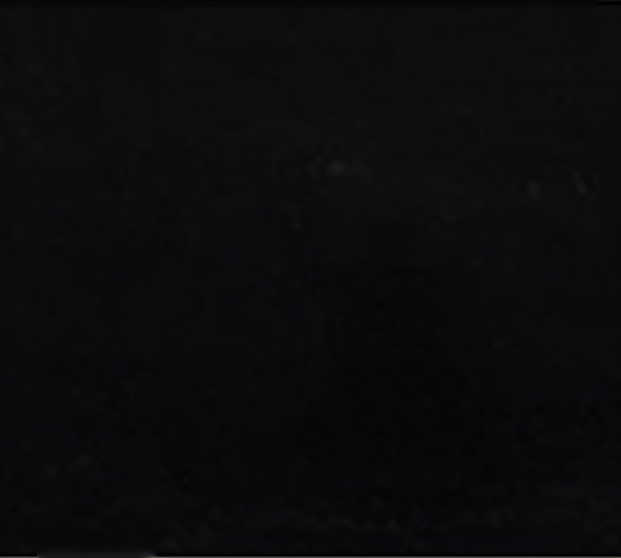 group picture