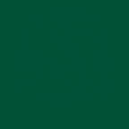 Thumbnail image #2 for Vollrath 4905-191 Shaker Dredge Lid, Medium Plastic, Vista Green Case of 12