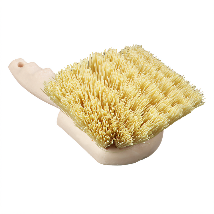 Product image #2 for CFS Brands 3650500 Sparta® Cleaning Brushes Case of 12