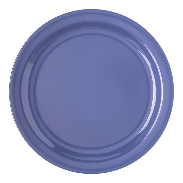Product image #2 for Dallas Ware 10.2-Inch Round Blue Melamine Dinner Plate with Reinforced Rim and Foot