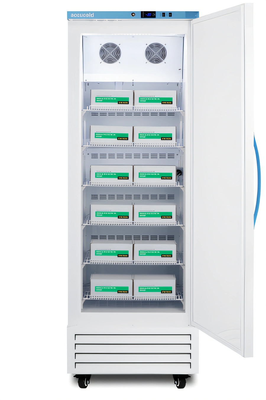 group picture