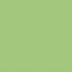 Thumbnail image #1 for Cambro Camtray® 1216113 Rectangular High-Impact Fiberglass Cafeteria Tray, 12 x 16-5/16 Inch, Limeade Case of 12