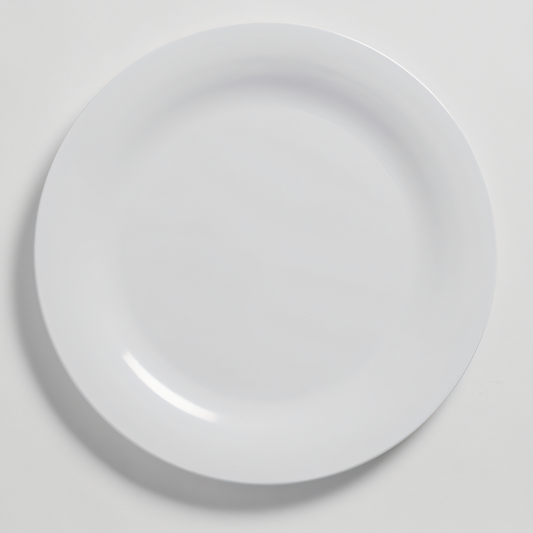 Product image #2 for Jane 10-Inch Round Wide Rim White Melamine Plate