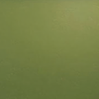Thumbnail image #2 for Cambro Camtray® 1600428 16-Inch Round Fiberglass Serving Tray, Olive Green Case of 12