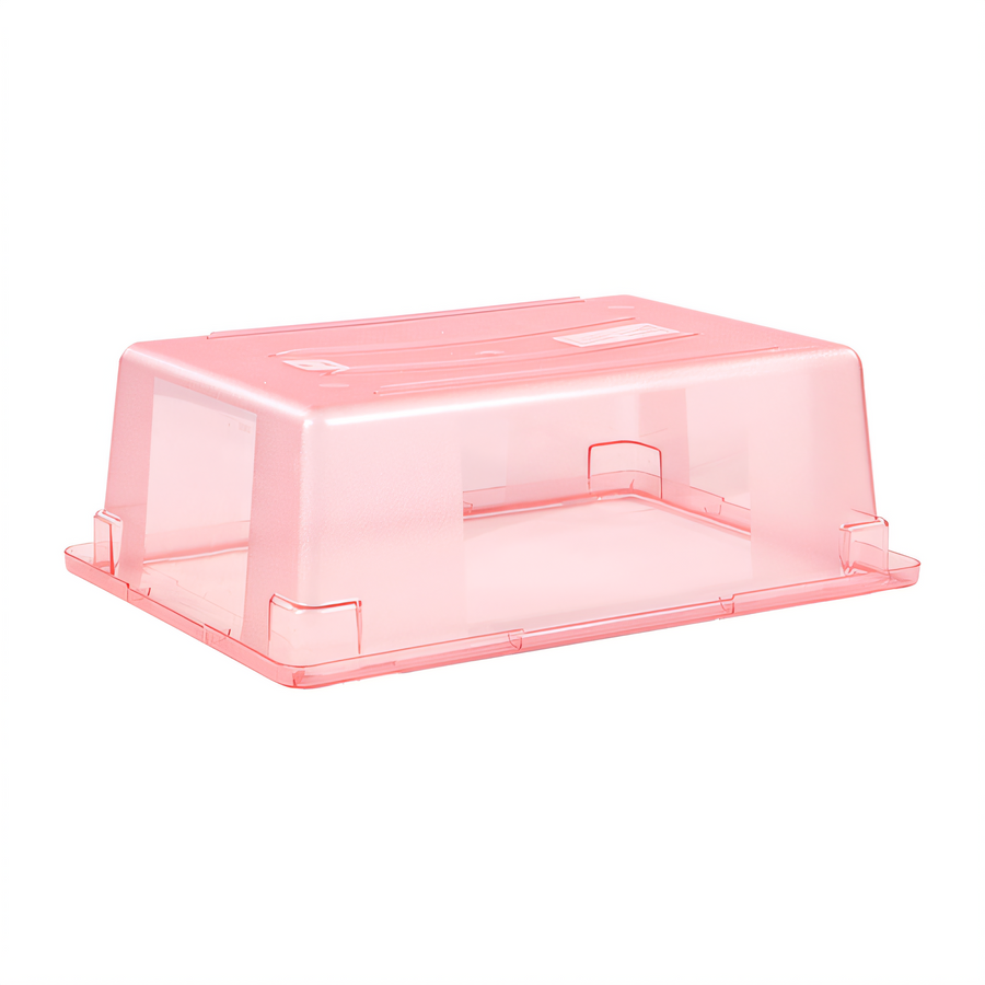group picture