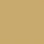 Thumbnail image #2 for Cambro Camtray® 1200514 12-Inch Round Fiberglass Serving Tray, Earthen Gold Case of 12