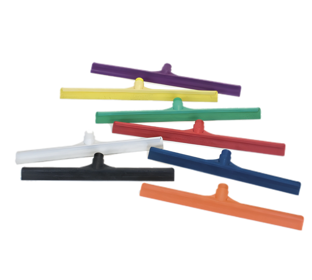 group picture