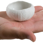 Thumbnail image #2 for JB Prince R913 6 Porcelain Sea Urchin Design Dish, 1-1/2 oz, White