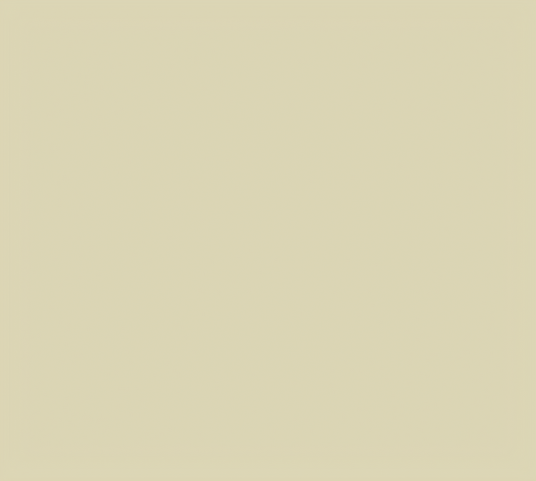 Product image #1 for Cambro 3242537 Camtray® Food Scale Parts & Accessories Case of 12