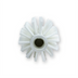 Thumbnail image #1 for Sparta 3-Inch White Pipe & Valve Brush with Threaded Hole