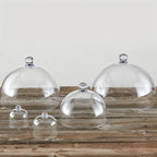 Thumbnail image #2 for American Metalcraft LFTD4 Clear Round Polycarbonate Dome Cover, 4-1/8 Inch Case of 48