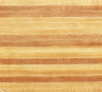 Cambro 1015303 Camtray® Trays & Accessories Case of 24