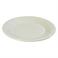 Sierrus™ 9-Inch Round Bone Melamine Wide Rim Dinner Plate with Elevated Foot