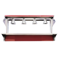 74-Inch Incandescent/Infrared Light Accessory for 4-Series Signature Server Stainless Steel Countertop Units