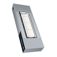 Hatco Ultra-Glo 42-Inch Double Ceramic Infrared Strip Heat Lamp Food Warmer