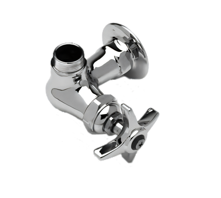 Product image #1 for T&S Brass B-0210-LNM Single-Temperature Wall-Mount Pantry Faucet with Swivel Outlet, Without Nozzle, Low-Lead