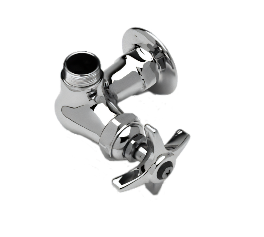 Product image #1 for T&S Brass B-0210-LNM Single-Temperature Wall-Mount Pantry Faucet with Swivel Outlet, Without Nozzle, Low-Lead
