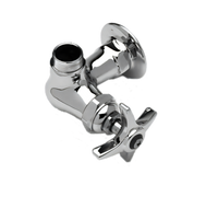 T&S Brass B-0210-LNM Single-Temperature Wall-Mount Pantry Faucet with Swivel Outlet, Without Nozzle, Low-Lead