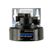 Everpure QL2 Single Water Filter Head Assembly with Mounting Bracket, 3/8 Inch NPT
