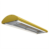 Hatco Glo-Ray Curved 54-Inch Lighted Infrared Strip Heater with Dual LED Lights