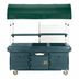 Thumbnail image #1 for CamKiosk 4-Pan-Well Mobile Food Cart with Canopy