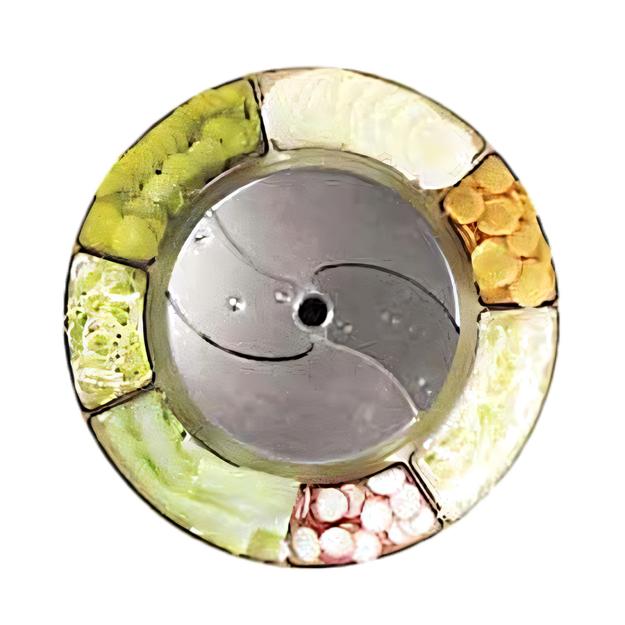 Product image #1 for Robot Coupe 2 mm Slicing Disc (5/64 In.) for Commercial Food Processors