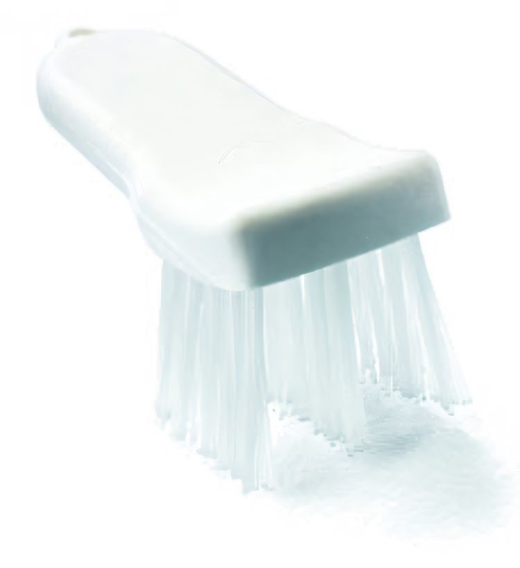 Product image #1 for Sparta® 6-Inch Lettuce Cutter Brush with Stiff Nylon Bristles and Plastic Handle