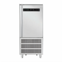 Delfield Reach-In Single-Section Blast Chiller/Shock Freezer with 15 Pan Capacity, Self-Contained Refrigeration
