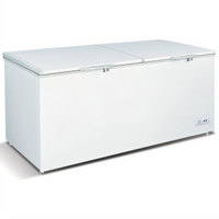 Omcan USA 46505 Chest Freezers