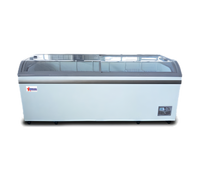 Omcan USA Freestanding Ice Cream Freezer with 2 Curved Glass Sliding Doors, 24.72 Cu. Ft.