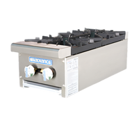 Turbo Air Radiance TAHP-12-2 High Output 12-Inch 2-Burner Countertop Gas Hot Plate